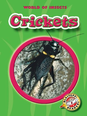 cover image of Crickets